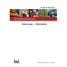 BS PD ISO/TR 16922:2013 BS PD ISO/TR 16922:2013