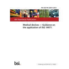 BS PD ISO/TR 24971:2013 BS PD ISO/TR 24971:2013