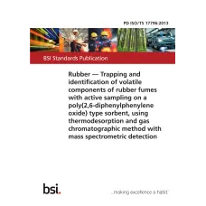 BS PD ISO/TS 17796:2013