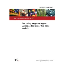 BS PD ISO/TS 13447:2013 BS PD ISO/TS 13447:2013