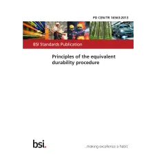 BS PD CEN/TR 16563:2013