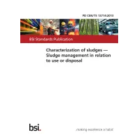 BS PD CEN/TS 13714:2013