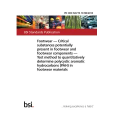 BS PD CEN ISO/TS 16190:2013