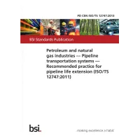 BS PD CEN ISO/TS 12747:2013