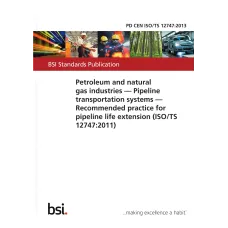 BS PD CEN ISO/TS 12747:2013