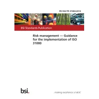 BS PD ISO/TR 31004:2013 BS PD ISO/TR 31004:2013