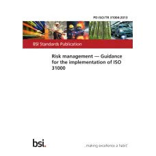 BS PD ISO/TR 31004:2013