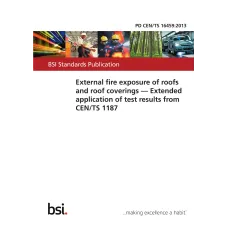 BS PD CEN/TS 16459:2013