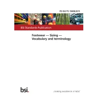 BS PD ISO/TS 19408:2015