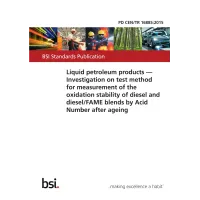 BS PD CEN/TR 16885:2015