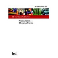 BS PD CEN/TS 16981:2016