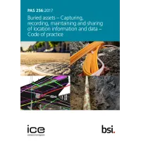 BS PAS 256:2017