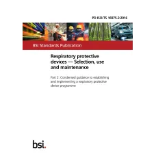 BS PD ISO/TS 16975-2:2016