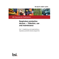 BS PD ISO/TS 16975-1:2016 BS PD ISO/TS 16975-1:2016