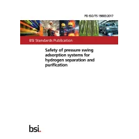 BS PD ISO/TS 19883:2017 BS PD ISO/TS 19883:2017