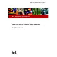 BS PD CEN/TR 13387-3:2018