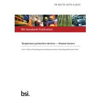 BS PD ISO/TS 16976-4:2019