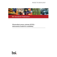 BS PD IEC TS 63019:2019