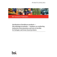 BS PD ISO/TS 22456:2021