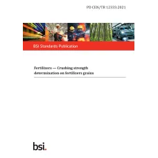 BS PD CEN/TR 12333:2021
