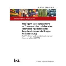 BS PD ISO/TS 15638-11:2013