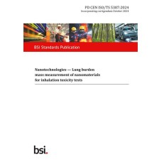 BS PD CEN ISO/TS 5387:2024 BS PD CEN ISO/TS 5387:2024