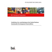 BS PD ISO/UNDP PAS 53002:2024 BS PD ISO/UNDP PAS 53002:2024