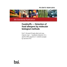 BS PD CEN/TS 15634-5:2016
