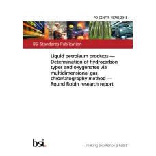 BS PD CEN/TR 15745:2015