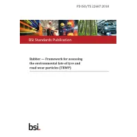 BS PD ISO/TS 22687:2018 BS PD ISO/TS 22687:2018