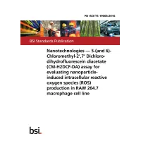 BS PD ISO/TS 19006:2016