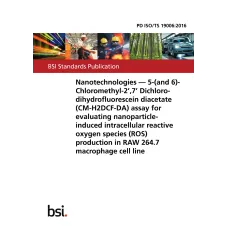 BS PD ISO/TS 19006:2016