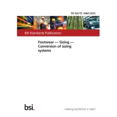 BS PD ISO/TS 19407:2015 BS PD ISO/TS 19407:2015