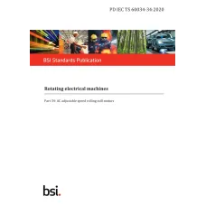 BS PD IEC TS 60034-34:2020