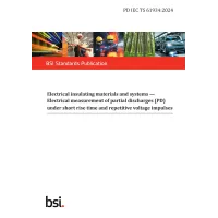 BS PD IEC TS 61934:2024