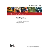 BS PD CEN/TR 13201-1:2014