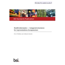BS PD ISO/TS 16843-4:2017 BS PD ISO/TS 16843-4:2017
