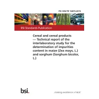 BS PD CEN/TR 16875:2015