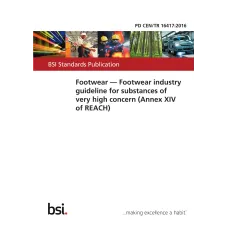 BS PD CEN/TR 16417:2016