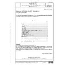 DIN 1164-10