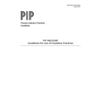 PIP INEG2000