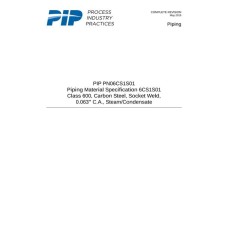 PIP PN06CS1S01 PIP PN06CS1S01
