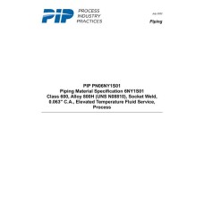 PIP PN06NY1S01