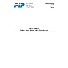 PIP PNSMV004:2024