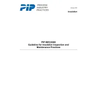 PIP INEG3000:2024
