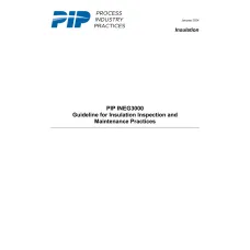 PIP INEG3000:2024