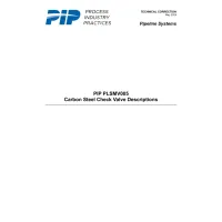 PIP PLSMV005:2024