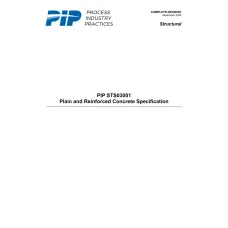 PIP STS03001:2024