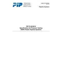 PIP PLSC0019:2024