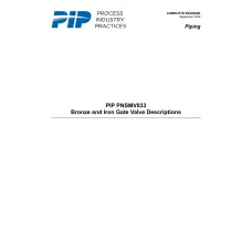 PIP PNSMV033:2024